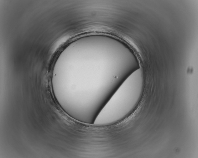 X0000091491067200708161205