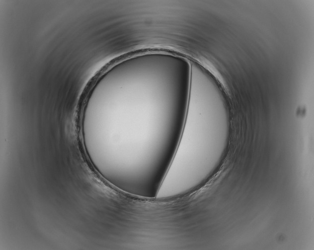 X0000091491068200708161205