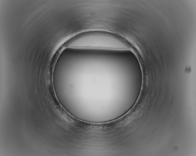 X0000091491069200708161205