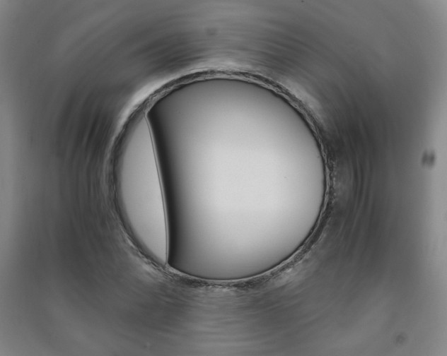 X0000091491070200708161205