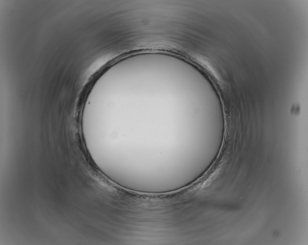 X0000091491071200708161205