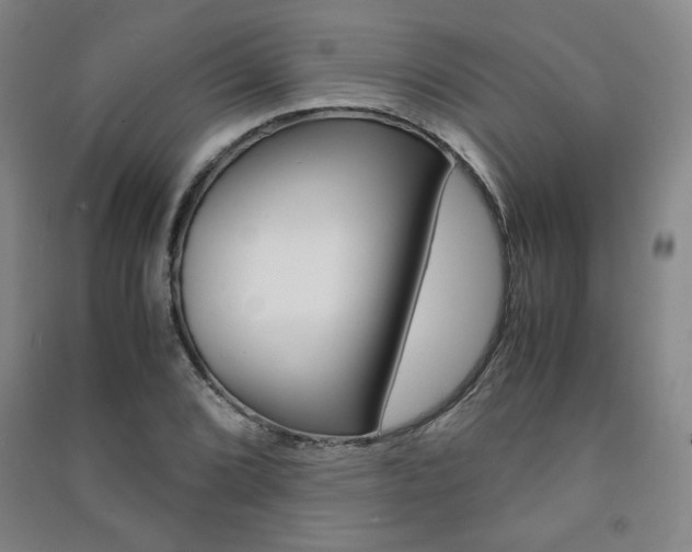 X0000091491072200708161205