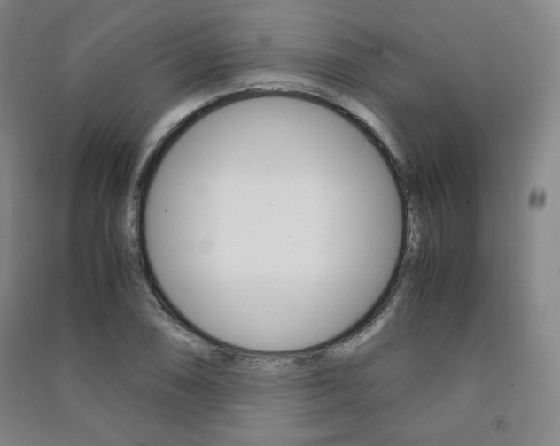 X0000091491074200708161205