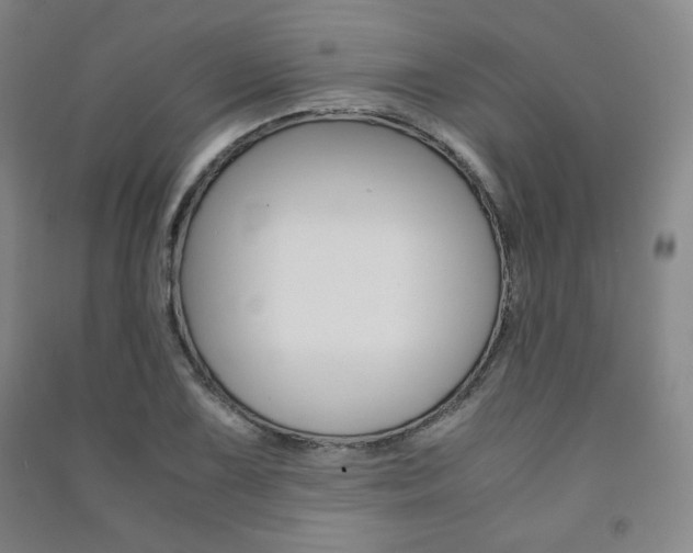 X0000091491075200708161205