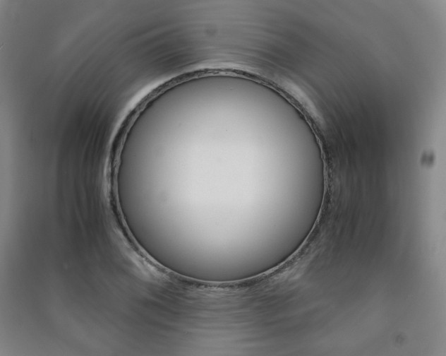 X0000091491076200708161205
