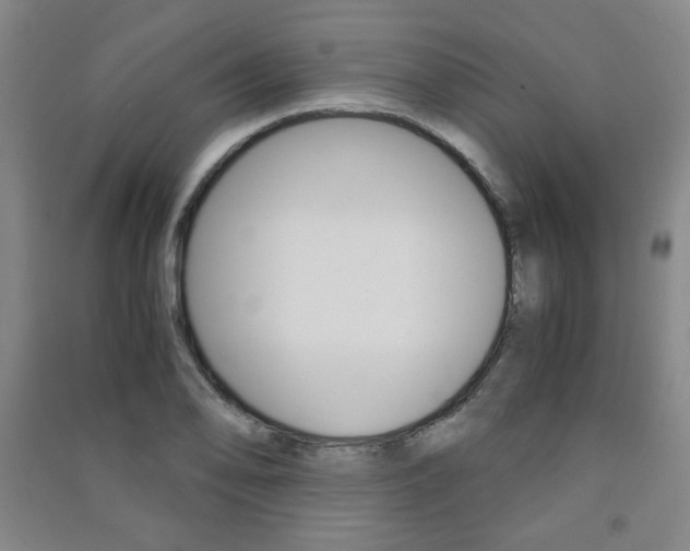 X0000091491078200708161205