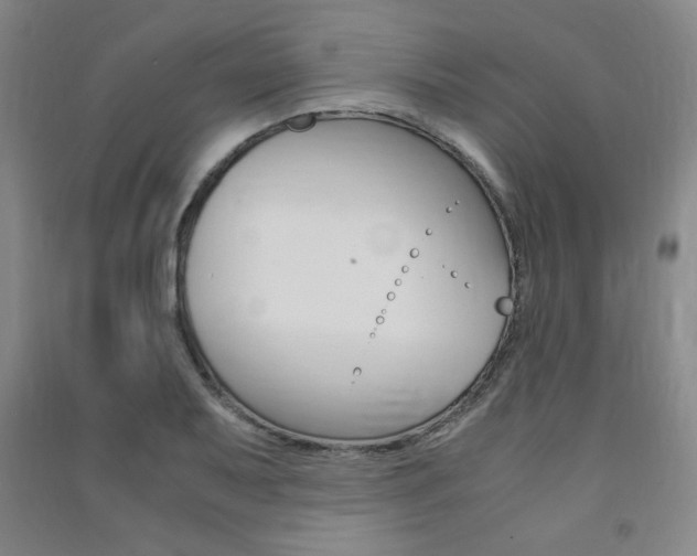 X0000091491079200708161205