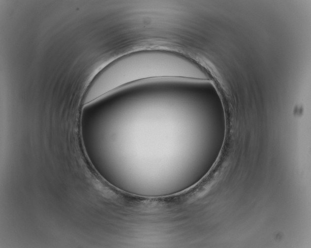 X0000091491081200708161205