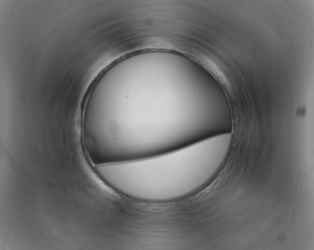 X0000091491084200708161205