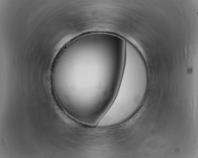 X0000091491085200708161205