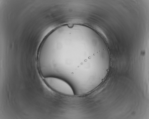 X0000091491087200708161205
