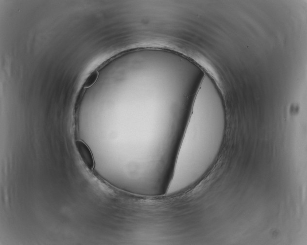 X0000091491088200708161205