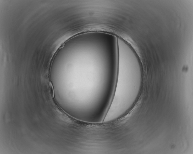 X0000091491089200708161205