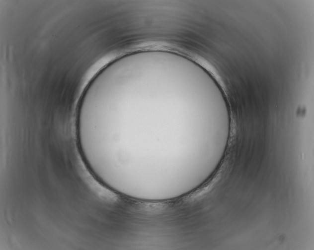 X0000091491090200708161205