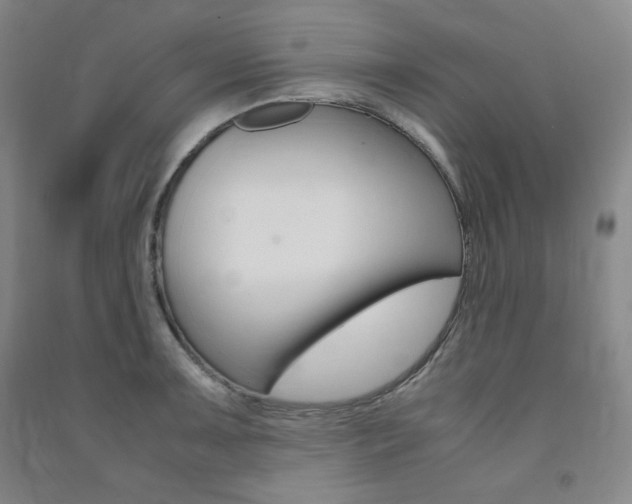 X0000091491091200708161205