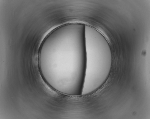 X0000091491092200708161205