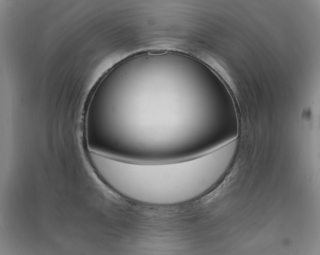 X0000091491093200708161205