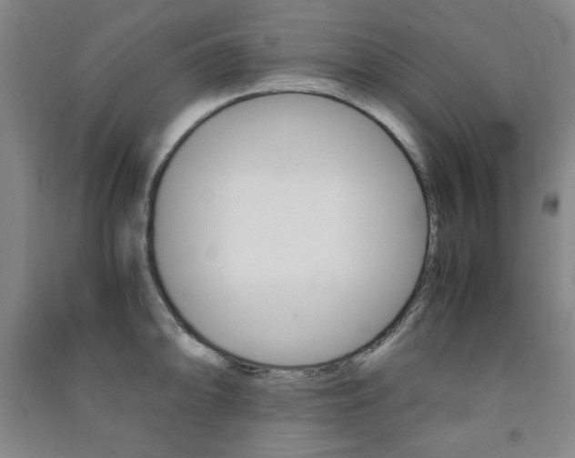 X0000091491094200708161205