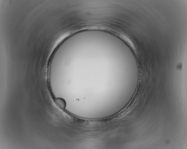 X0000091491095200708161205