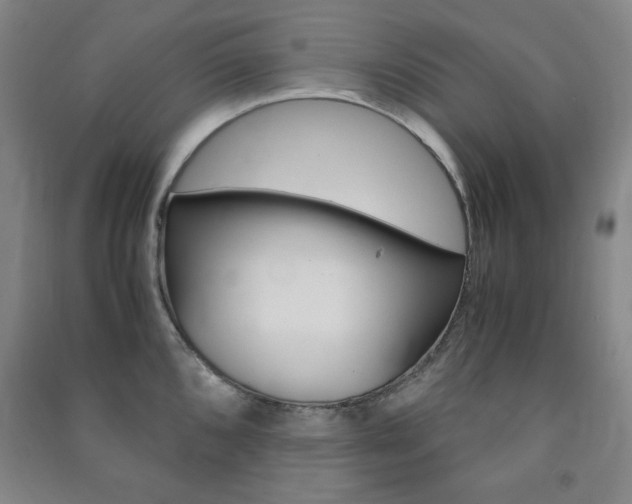 X0000091491096200708161205