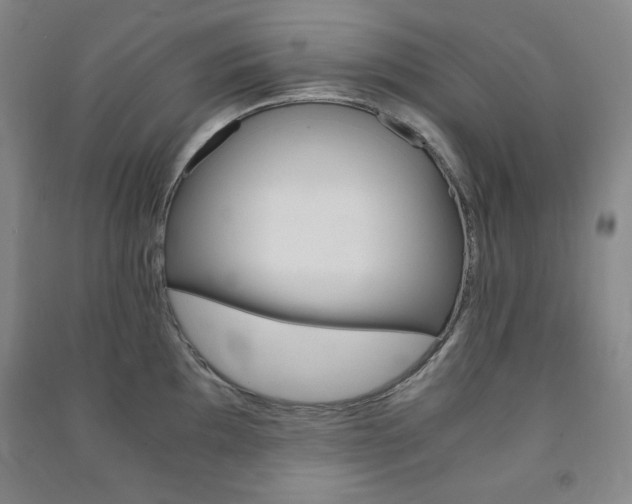 X0000091491097200708161205