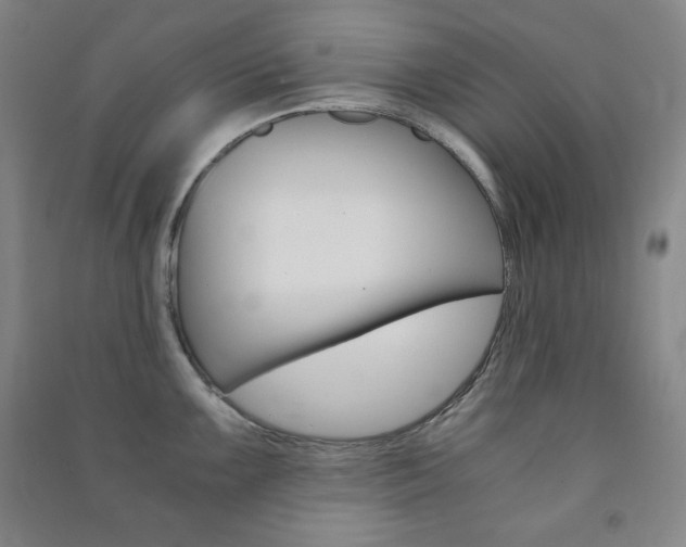 X0000091491099200708161205