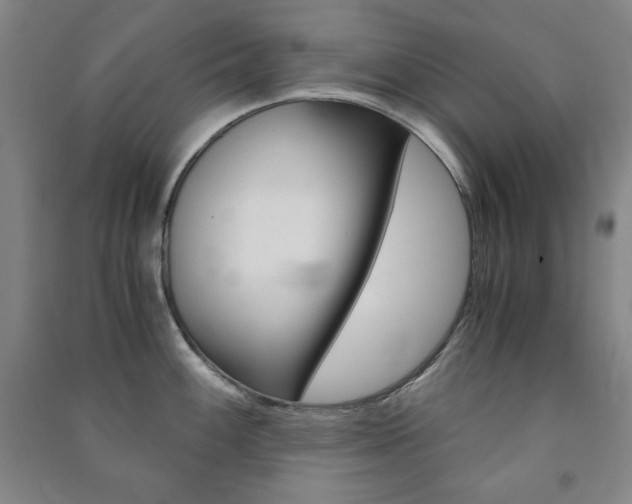 X0000091491100200708161205