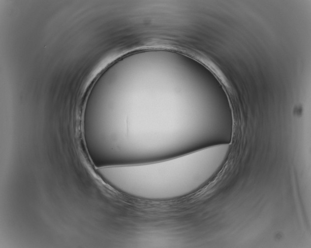 X0000091491101200708161205