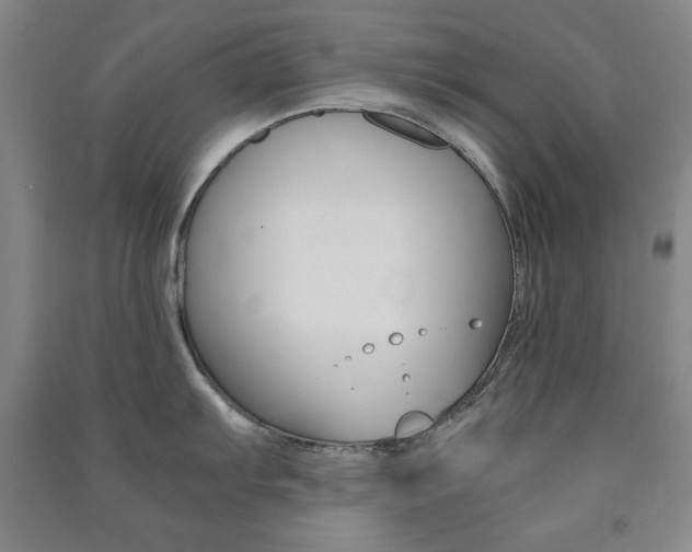 X0000091491103200708161205