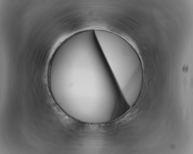 X0000091491104200708161205