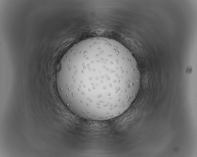 X0000091491105200708161204