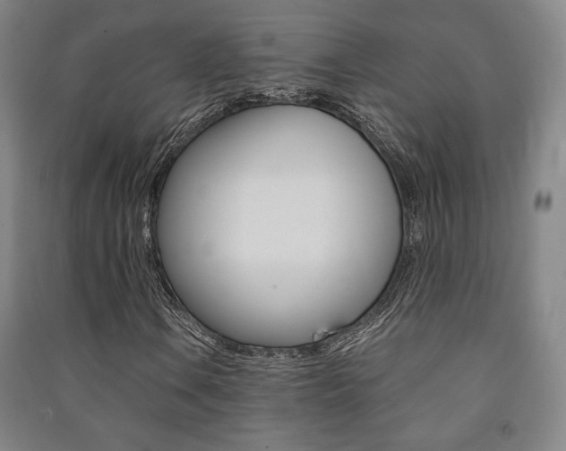 X0000091491106200708161204