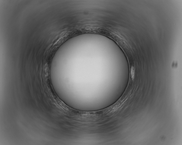 X0000091491107200708161204