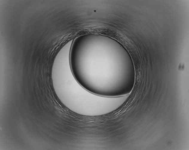 X0000091491108200708161204