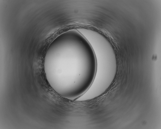 X0000091491110200708161204