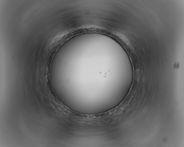X0000091491111200708161204