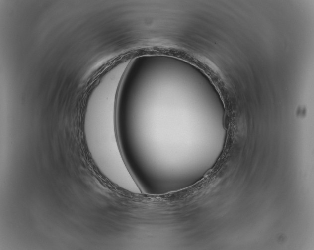 X0000091491112200708161204