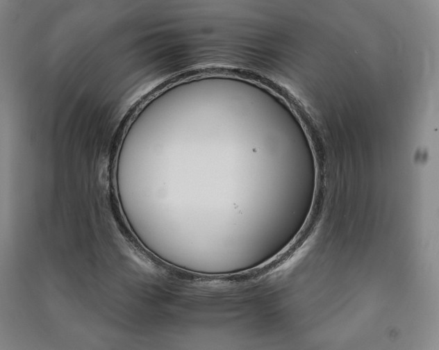 X0000091491113200708161204