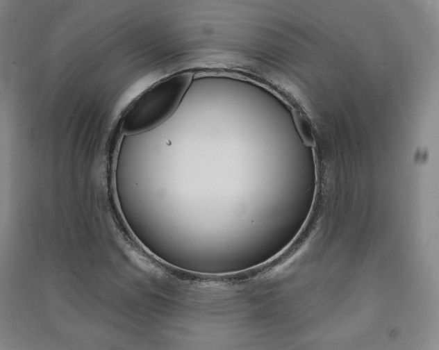 X0000091491114200708161204