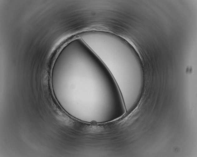 X0000091491115200708161204