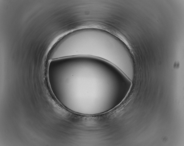 X0000091491116200708161204