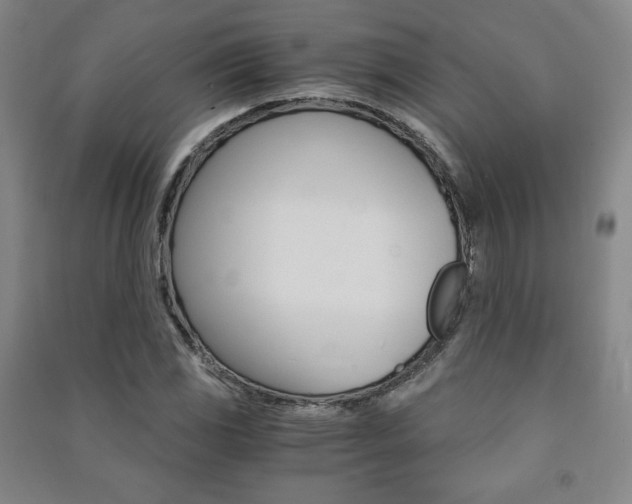 X0000091491117200708161204