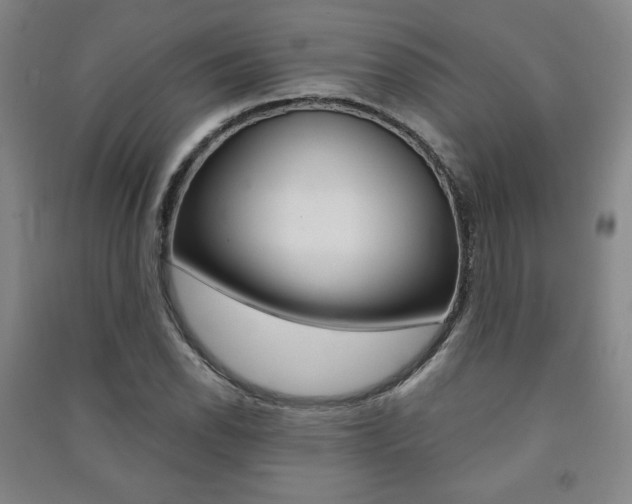 X0000091491118200708161204