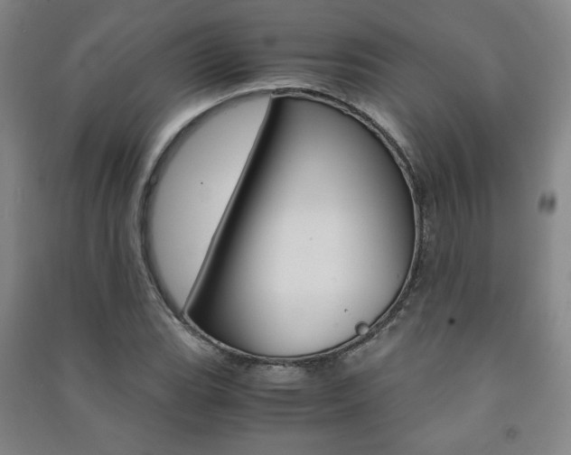 X0000091491119200708161205