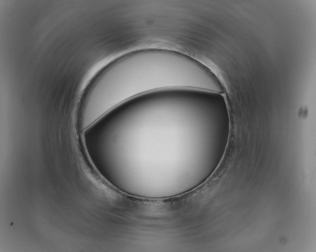 X0000091491120200708161205