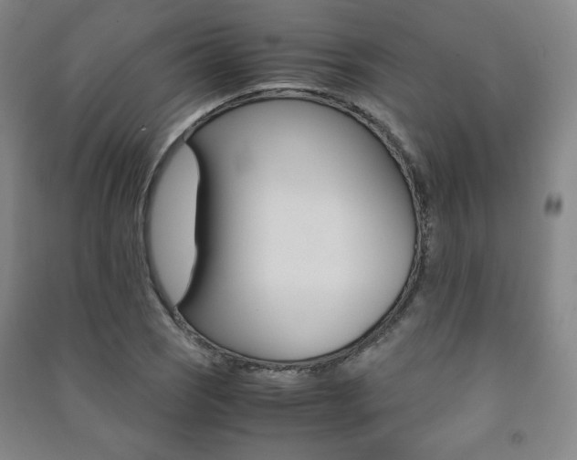 X0000091491121200708161205
