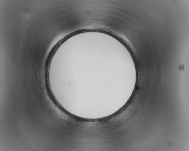 X0000091491122200708161205