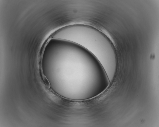 X0000091491124200708161205