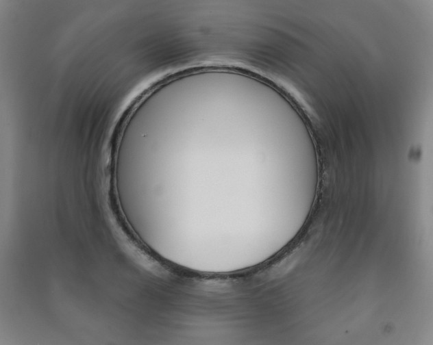 X0000091491126200708161205