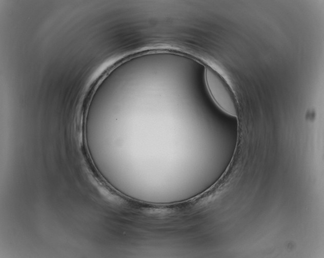 X0000091491127200708161205